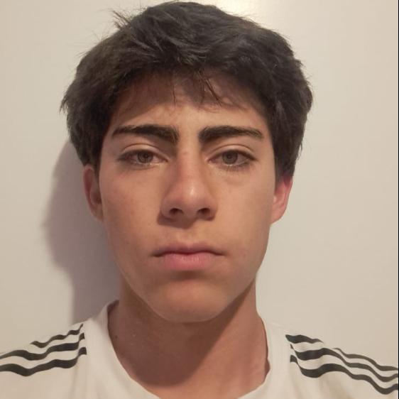 User Image
