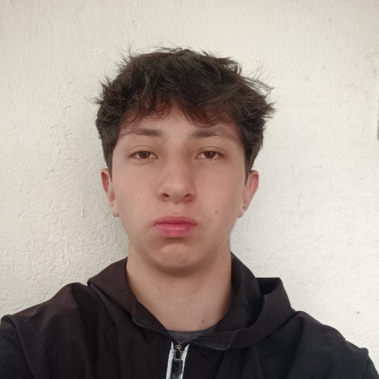 User Image